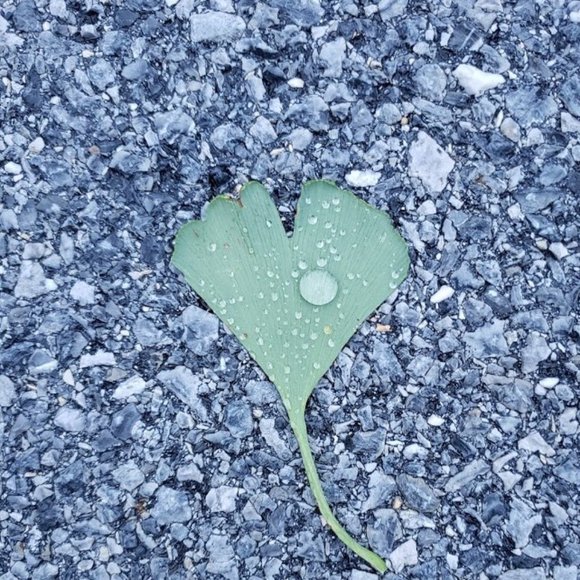 Meet your Posher, Karen - Picture 1 of 1